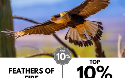 Viewbug.com: Top 10% Most Voted in ‘Focus Forward Photo’ Contest