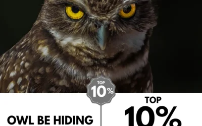 Viewbug.com: Top 10% Most Voted in ‘Picture Eyes Photo’ Contest