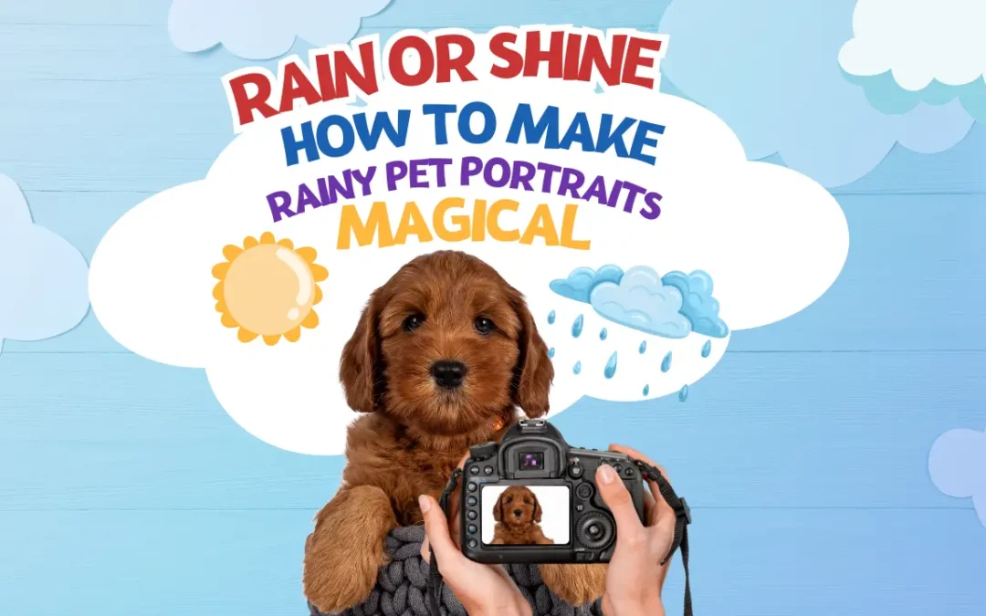 Rain or Shine: How to Make Rainy Pet Portraits Magical