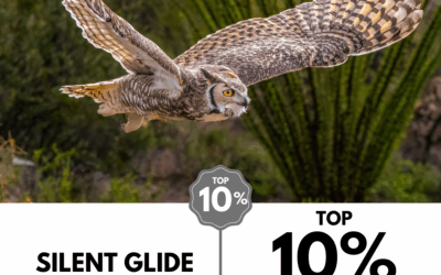 Viewbug.com: Top 10% Most Voted in ‘Focus Forward Photo’ Contest