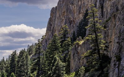 Gates of the Mountains Wilderness reveals Montana’s wild spirit as the Missouri …