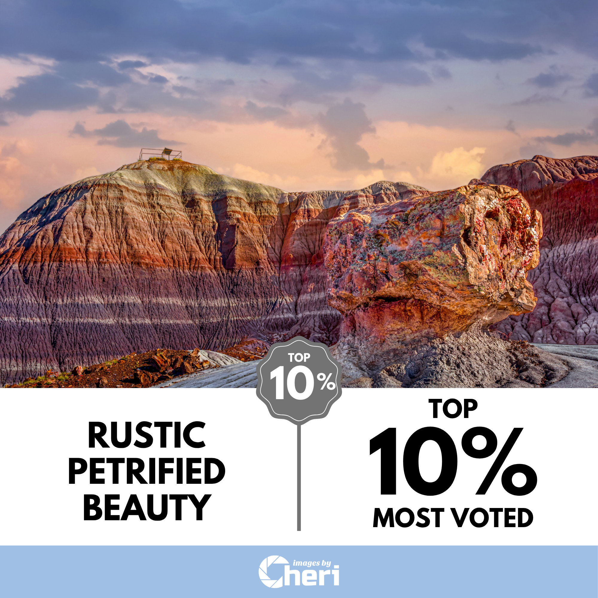 Petrified Forest Blue Mesa Arizona Landscape