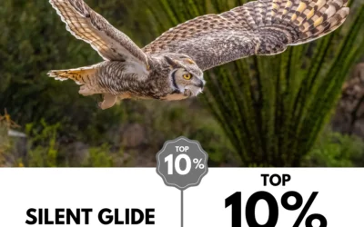 Viewbug.com: Top 10% Most Voted in ‘In Transit Photo’ Contest