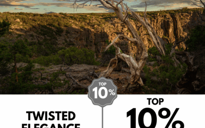 Viewbug.com: Top 10% Most Voted in ‘Image Of The Month Photo’ Contest