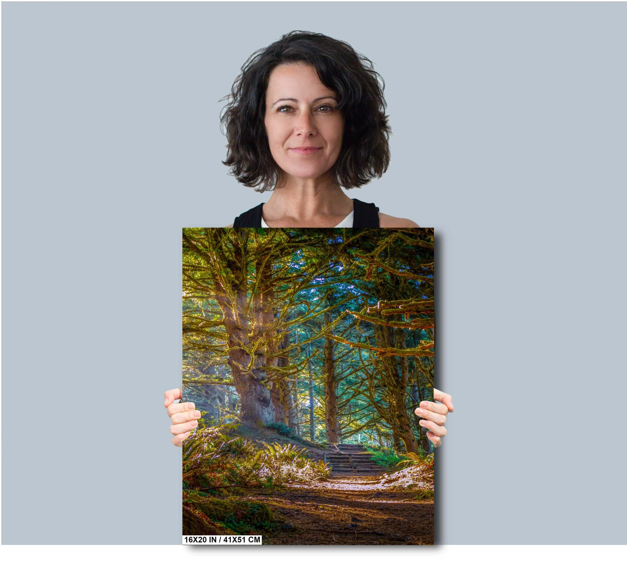 Enchanting Oregon Forest: Sunlight Reflection in Florence Woods Diagram