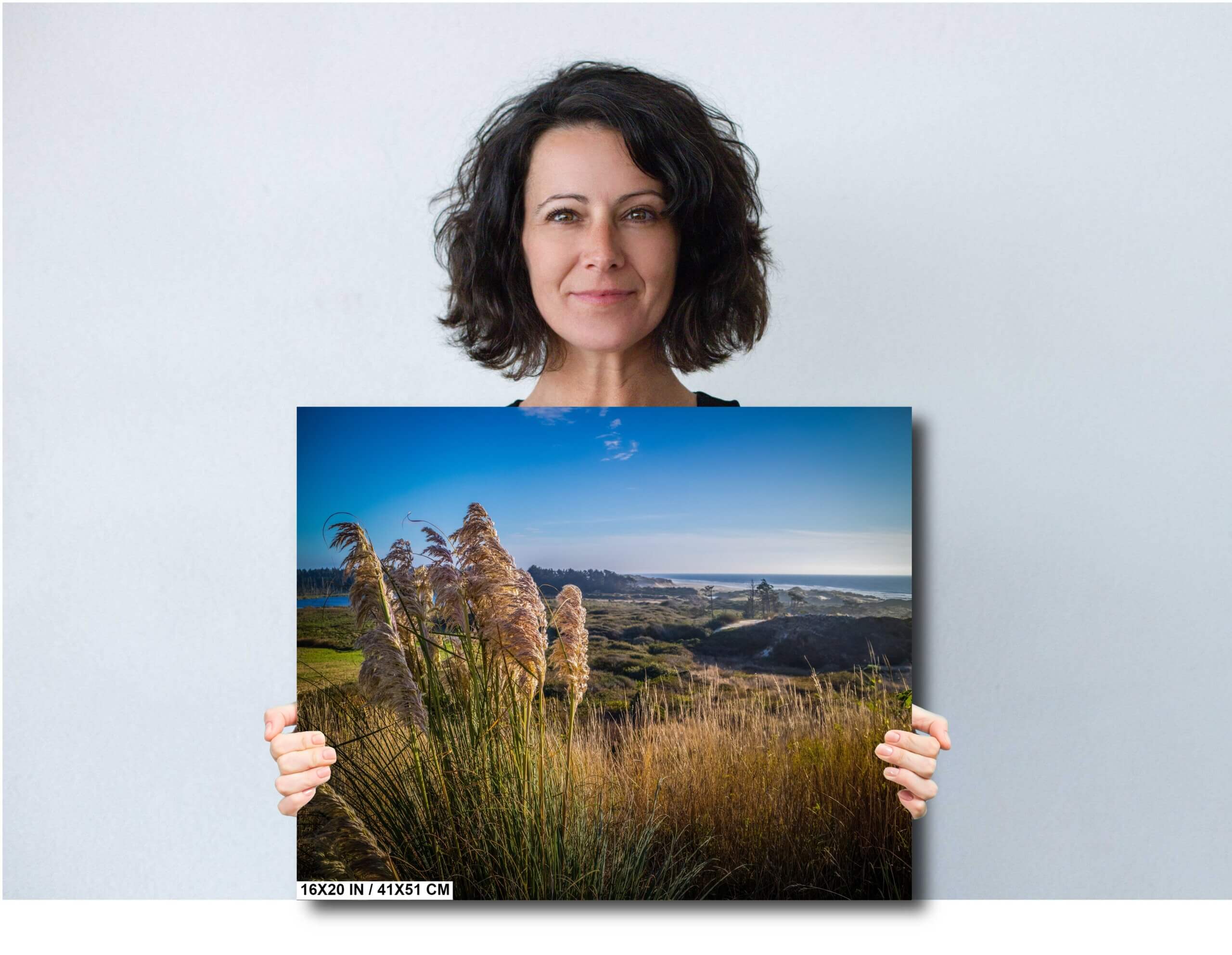 Golden Waves by the Pacific: Pampas Grass Fields Heceta Head Diagram Golden Waves by the Pacific: Pampas Grass Fields Heceta Head Diagram