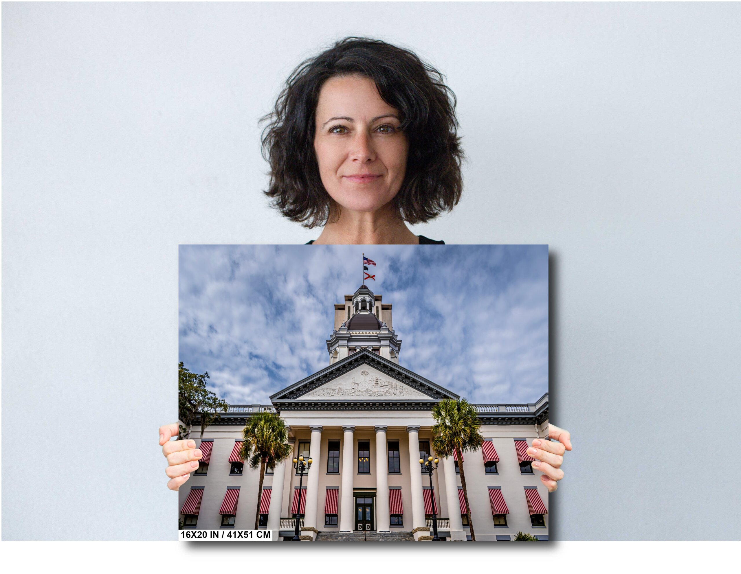 Tallahassee’s Beacon: Florida State Capitol in Tallahassee, Florida Diagram