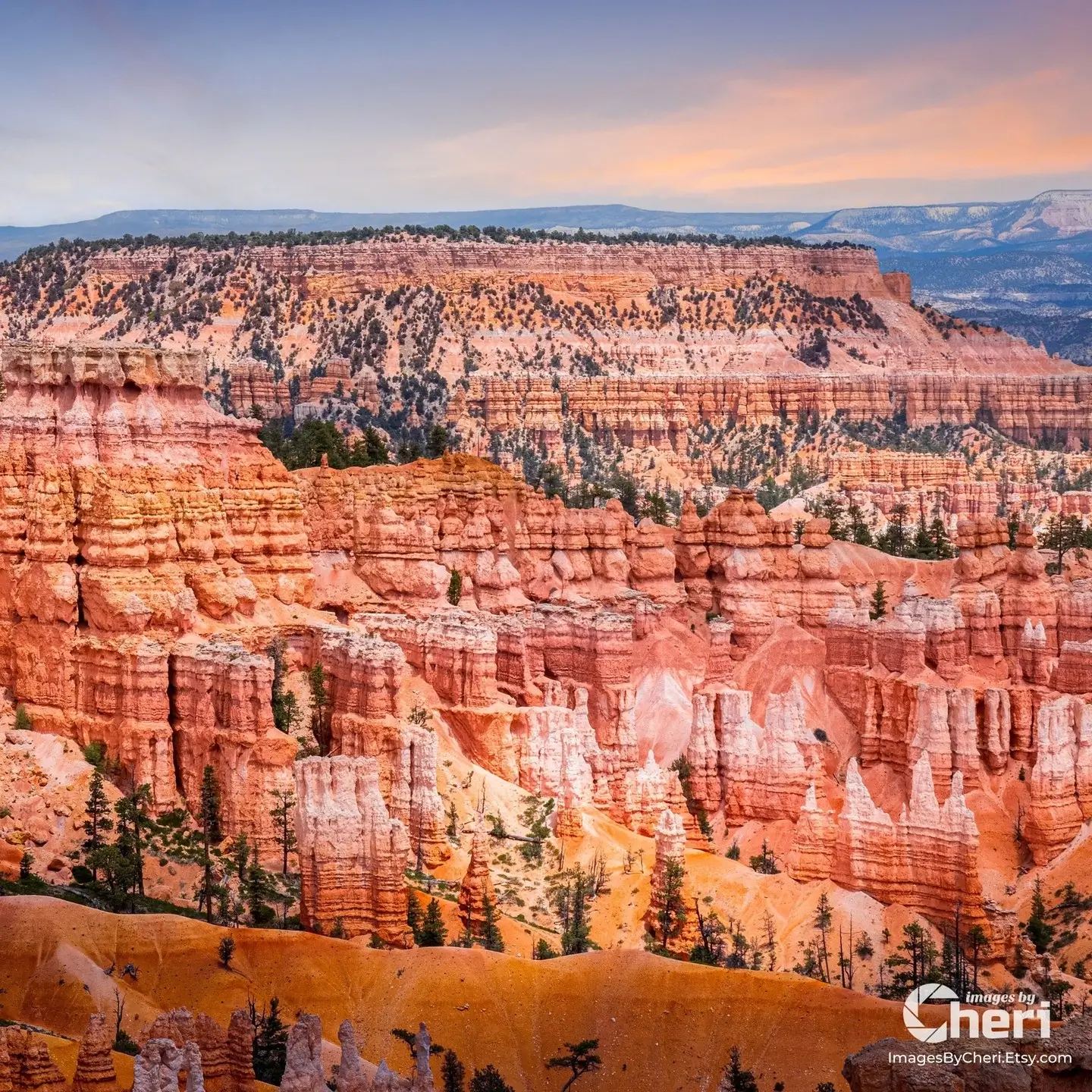 Wide scenic photo of Bryce Canyon National Park in Utah, featuring dense, layered orange and red hoodoo rock formations and scattered green pine trees.