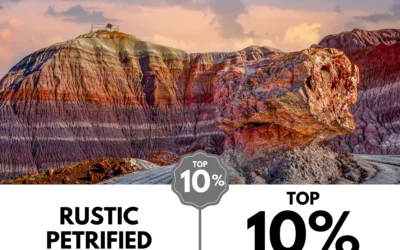 Viewbug.com: Top 10% Most Voted in ‘Image of the Month Photo’ Contest