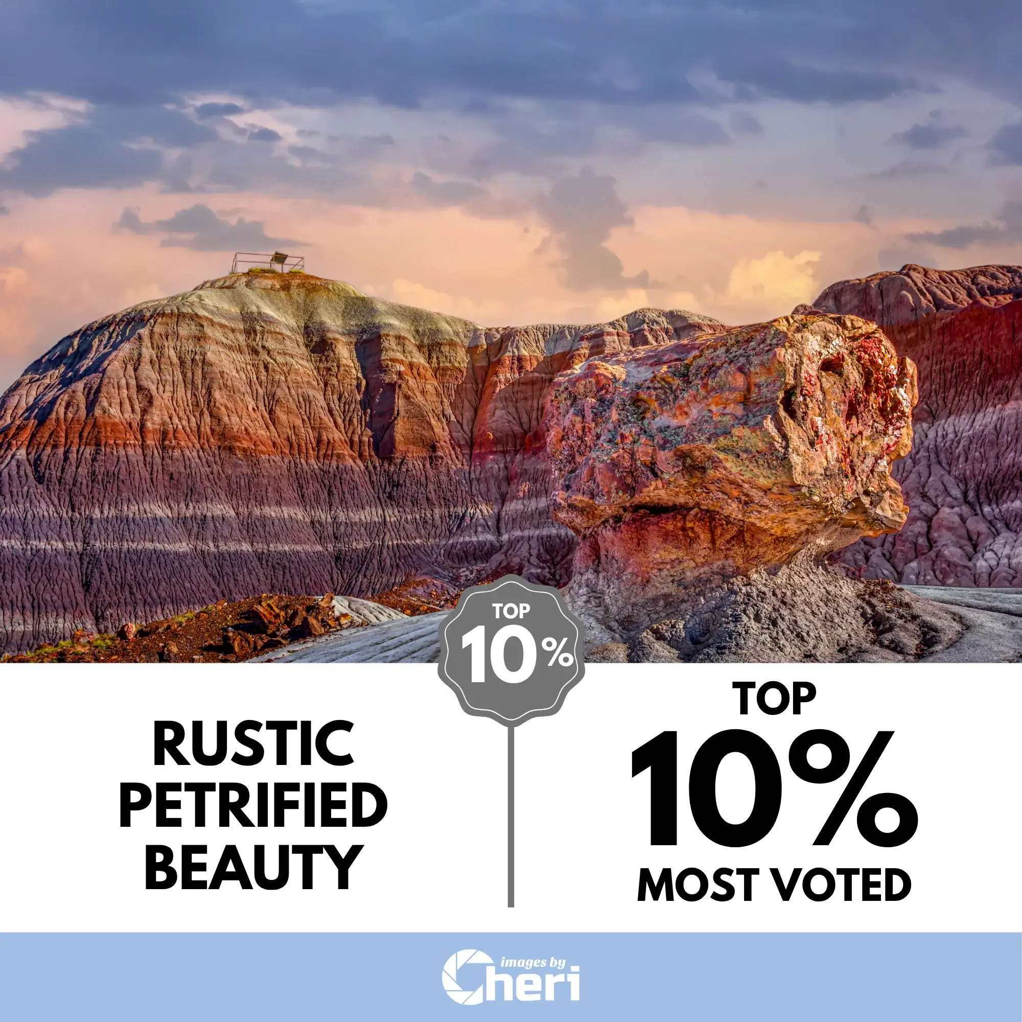 Image of the Month photo entry, "Rustic Petrified Beauty," showing a colorful petrified log against purple/red badlands with a Top 10% Most Voted.