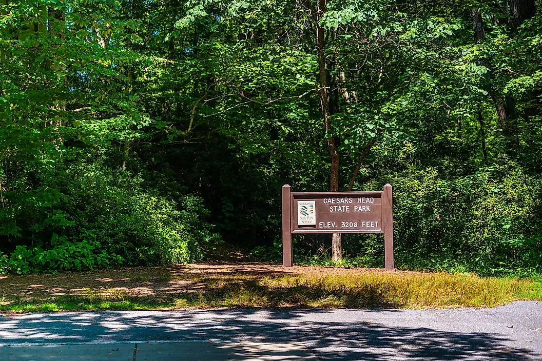 5 National & State Parks In South Carolina You Have To Visit