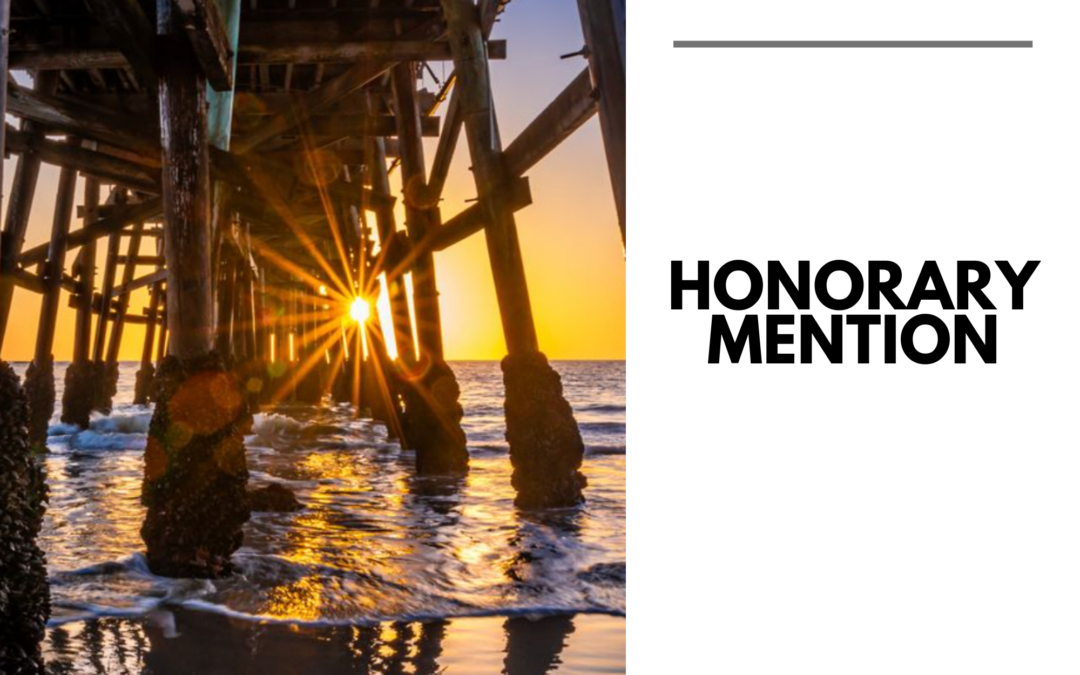 Honorary Mention in the ViewBug Sun Sparks Photo Contest