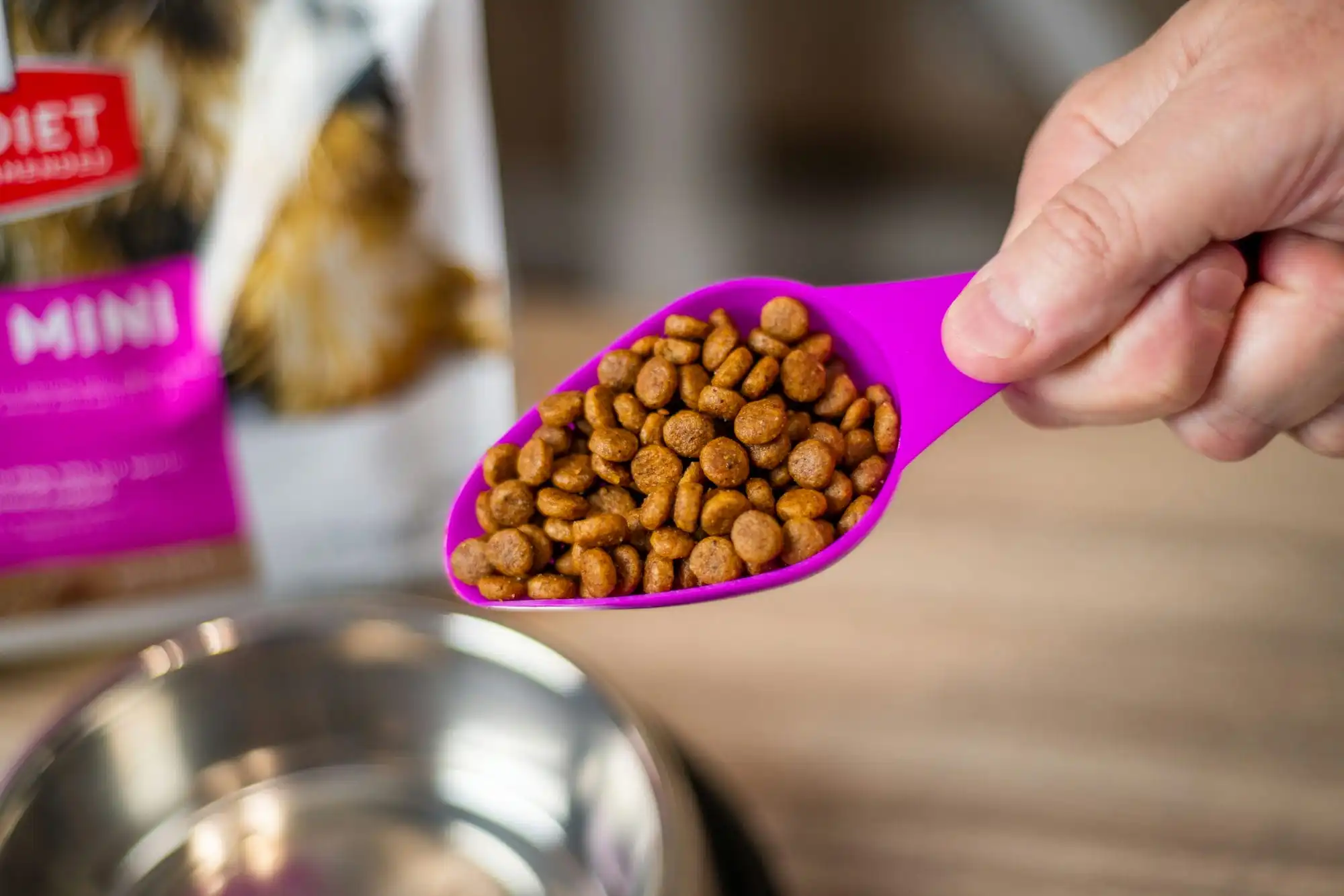 Chester Project Hill's Science Diet