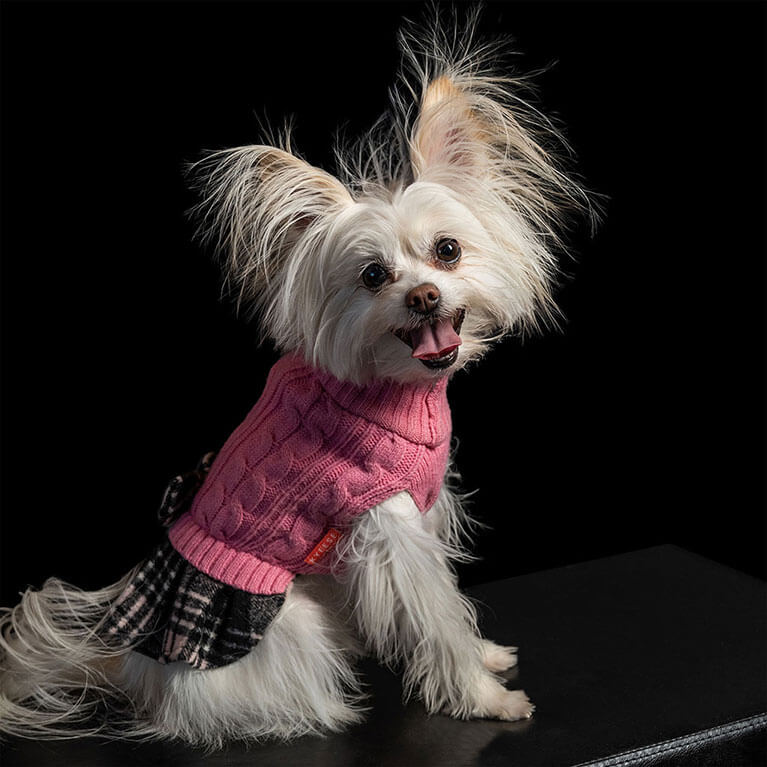 Project Panini in a photography portrait