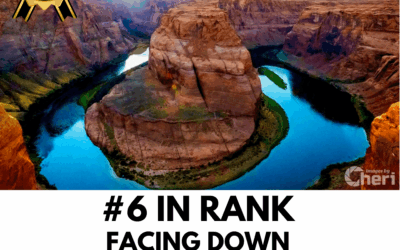 #6 Placement in the ViewBug Facing Down Photo Contest