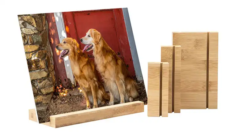 High-quality professional pet photo gift print of two Golden Retrievers displayed on a modern wooden desktop stand.