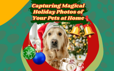 Capturing Magical Holiday Photos of Your Pets at Home