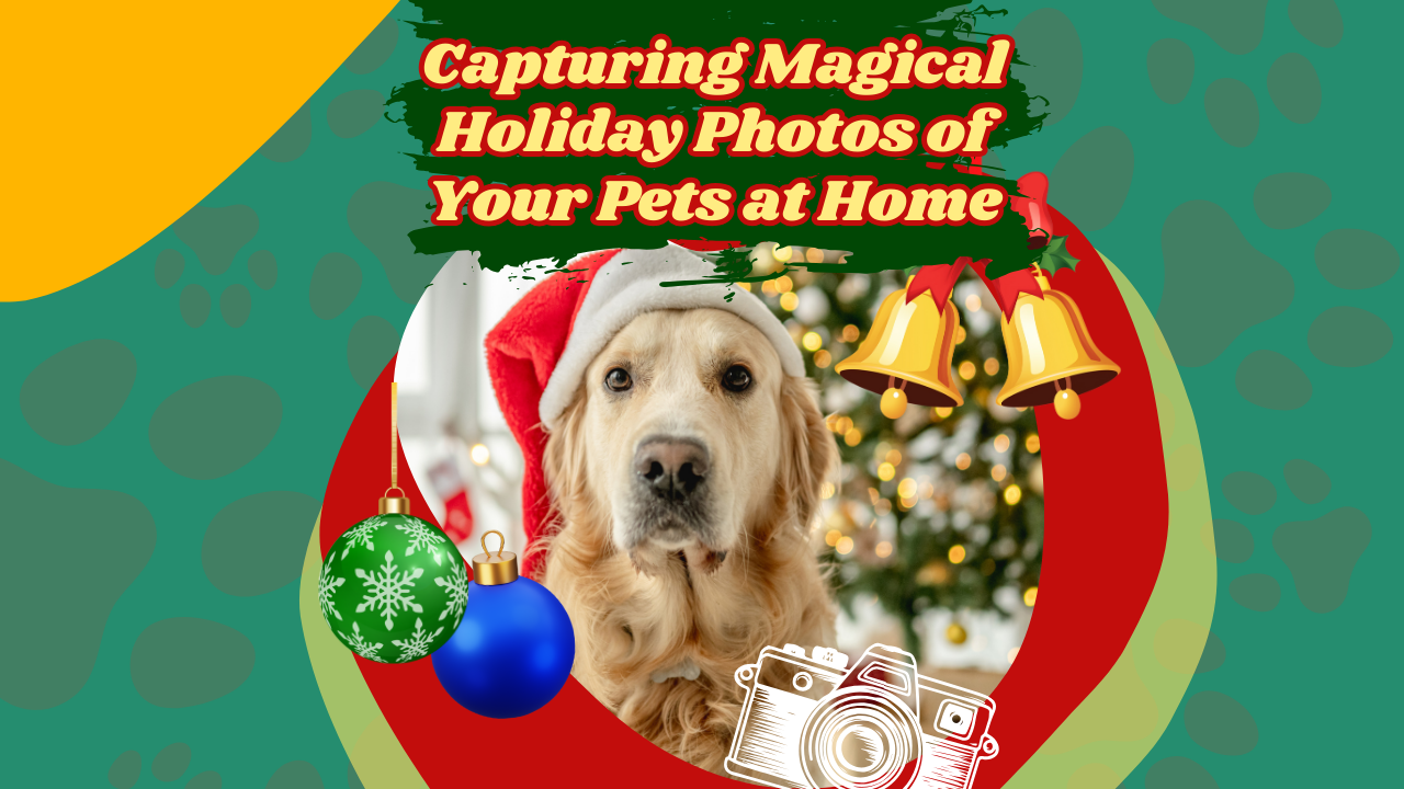 Capturing Magical Holiday Photos of Your Pets at Home