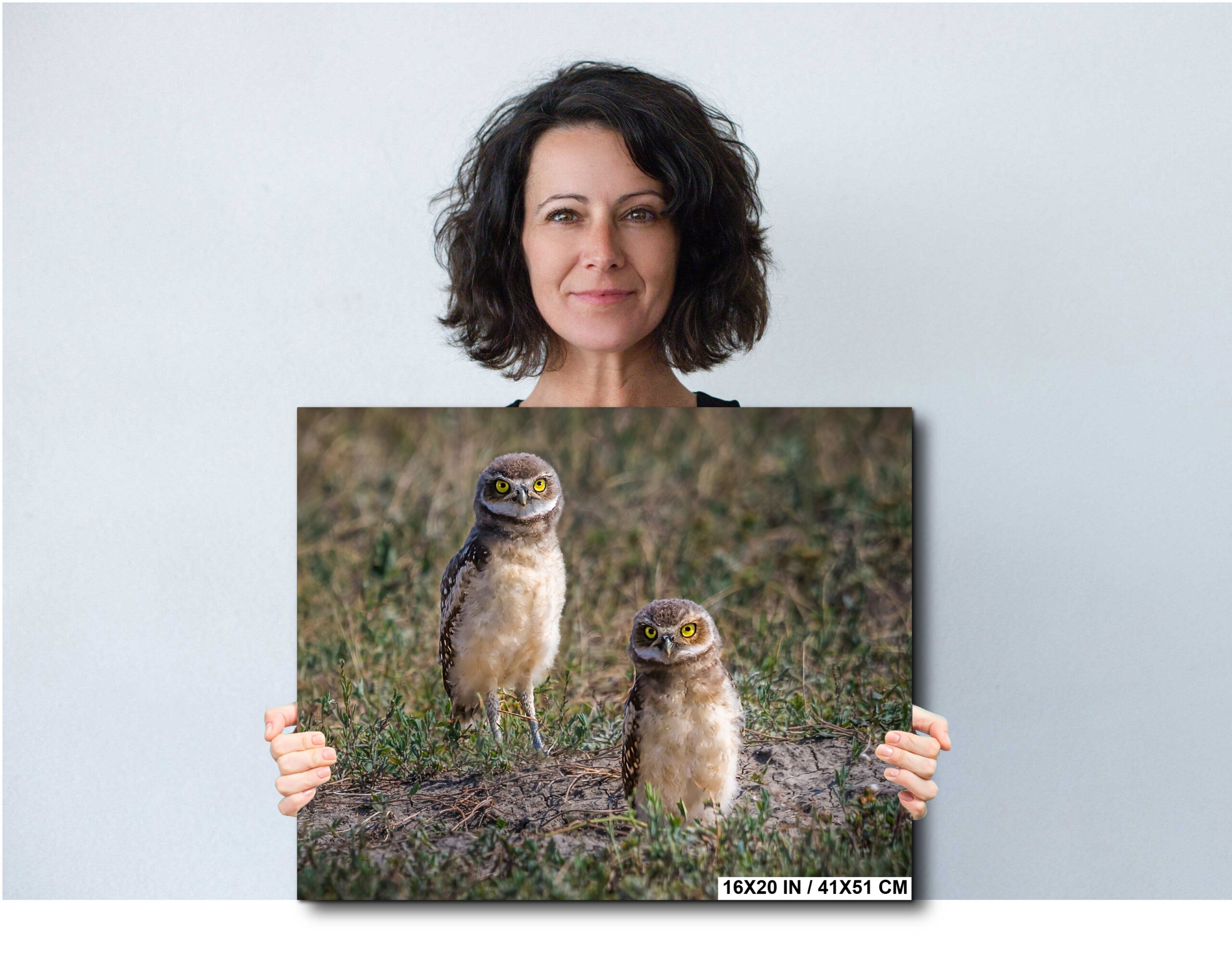Burrowing Owls Pair Badlands National Park South Dakota Wildlife Diagram