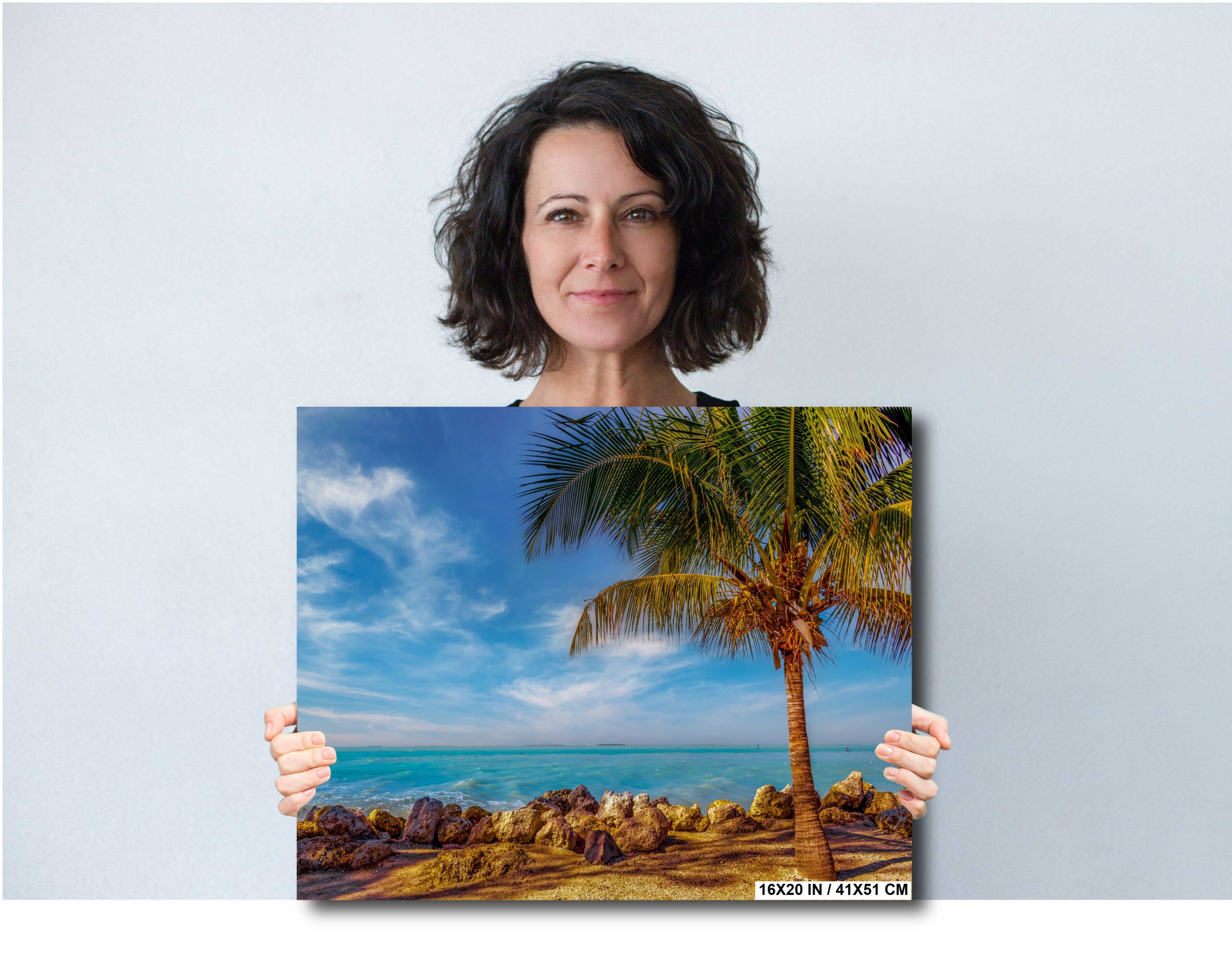 Key West Rocks: Solitary Palm and Ocean View Diagram