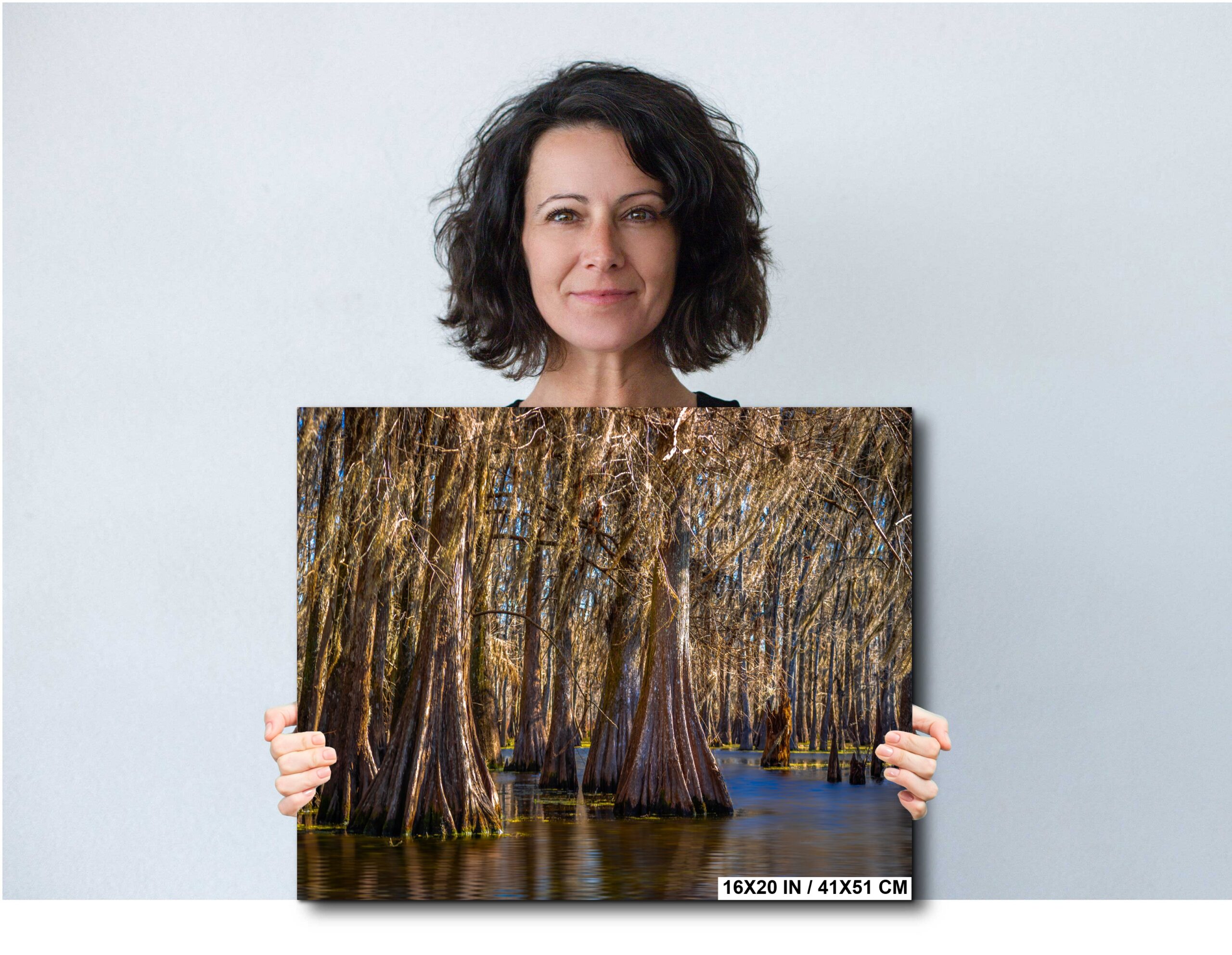 Lake Martin Louisiana Cypress Swamp Trees Diagram