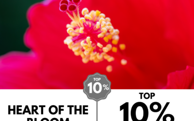 Viewbug.com: Top 10% Most Voted in ‘Tiny Nature’ Photo Contest