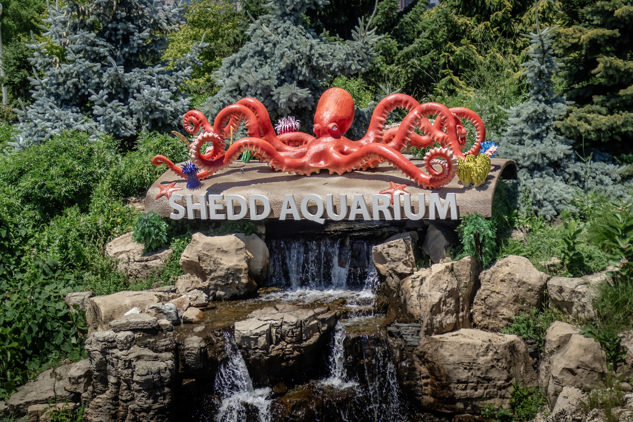 Chicago’s Aquatic Gem: Shedd Aquarium Sign in Fountain Chicago’s Aquatic Gem: Shedd Aquarium Sign in Fountain