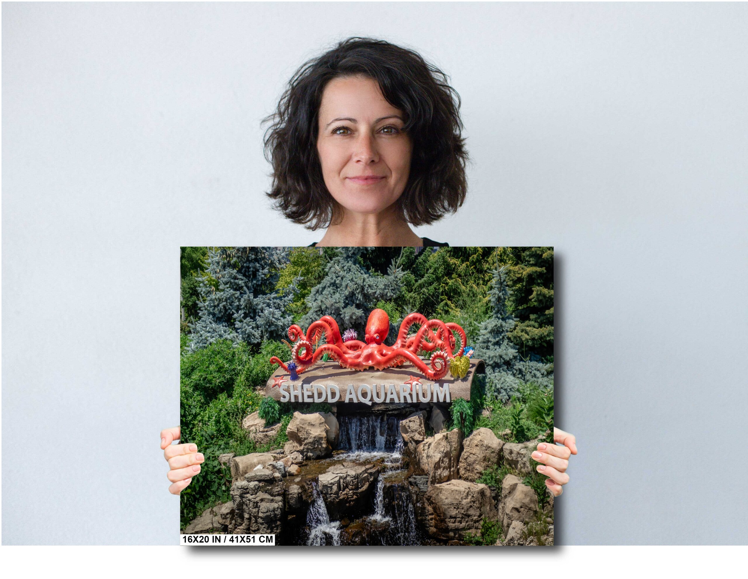 Chicago’s Aquatic Gem: Shedd Aquarium Sign in Fountain Diagram Chicago’s Aquatic Gem: Shedd Aquarium Sign in Fountain Diagram