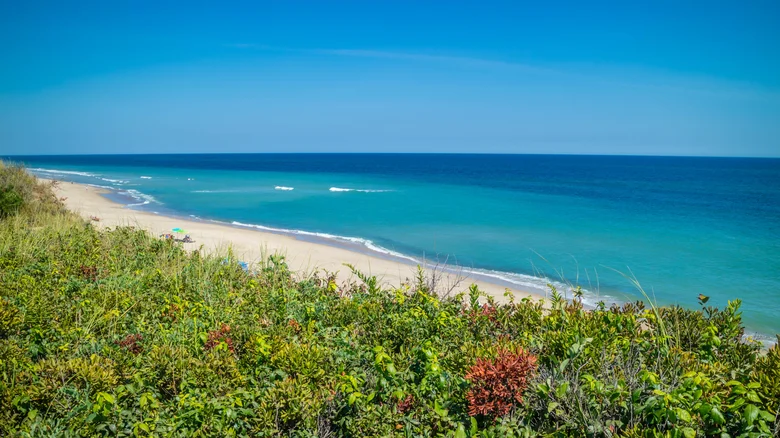 The Absolute Best Beaches In America Where It’s Legal To Drink Alcohol Publicly