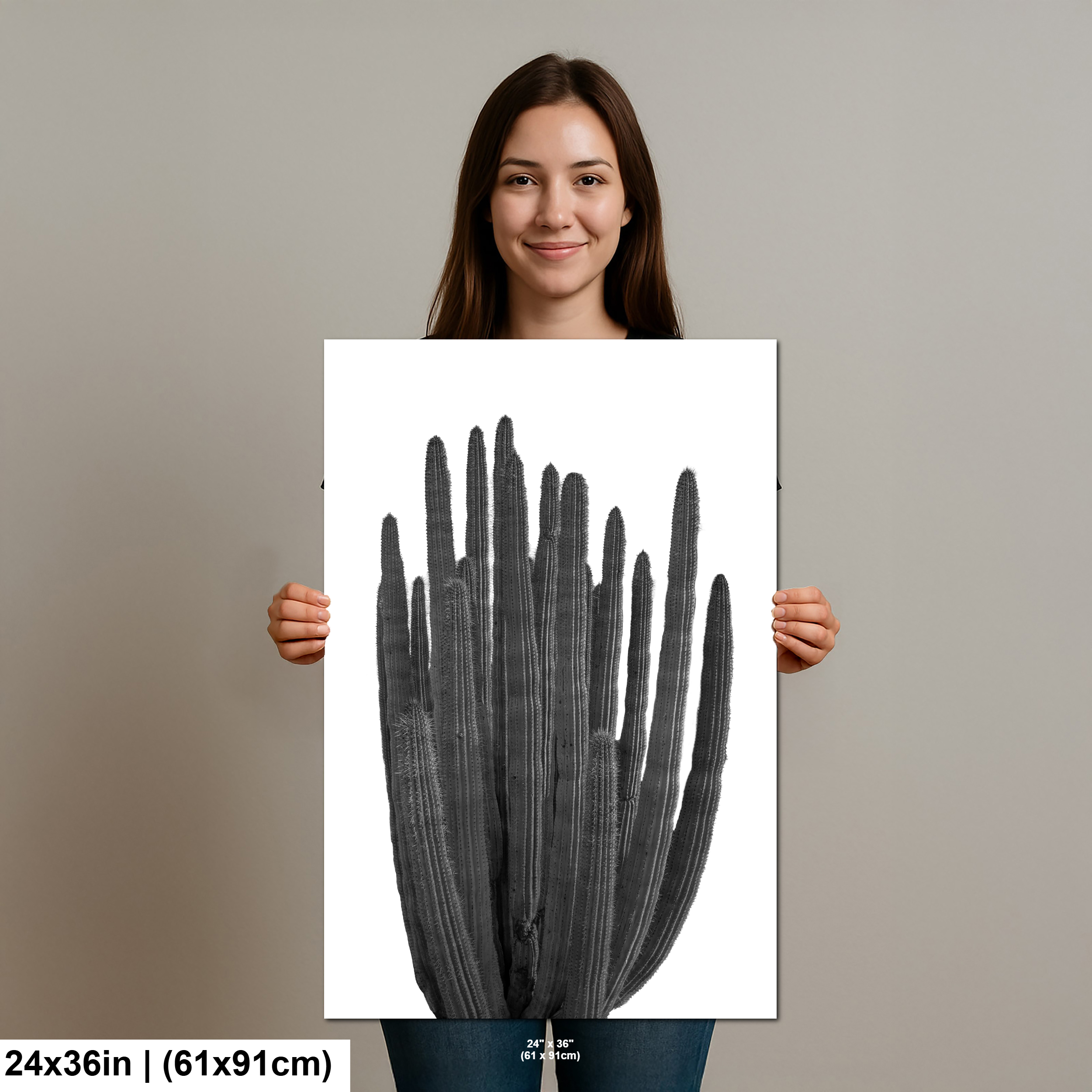 Organ Pipe Cactus, Arizona National Monument, Photography Diagram