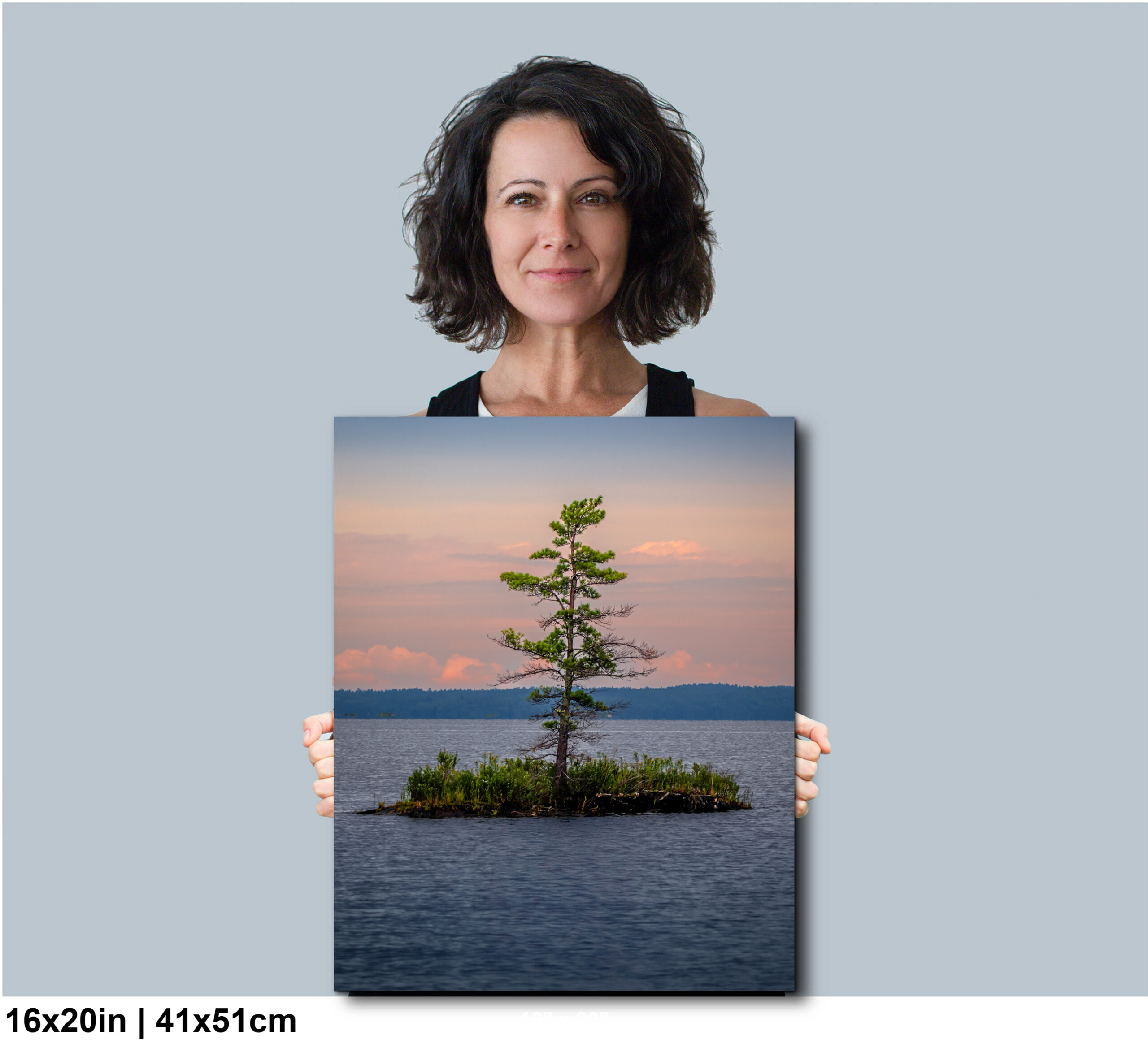 Voyageurs National Park Print: Lonely Pine at Dusk Lake Island Scene Diagram