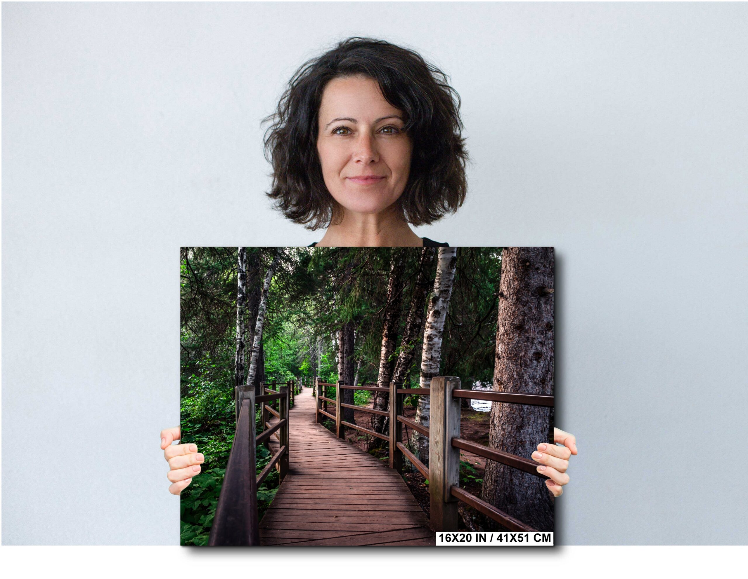 Forest Boardwalk Trail Gooseberry Falls Minnesota State Park Diagram