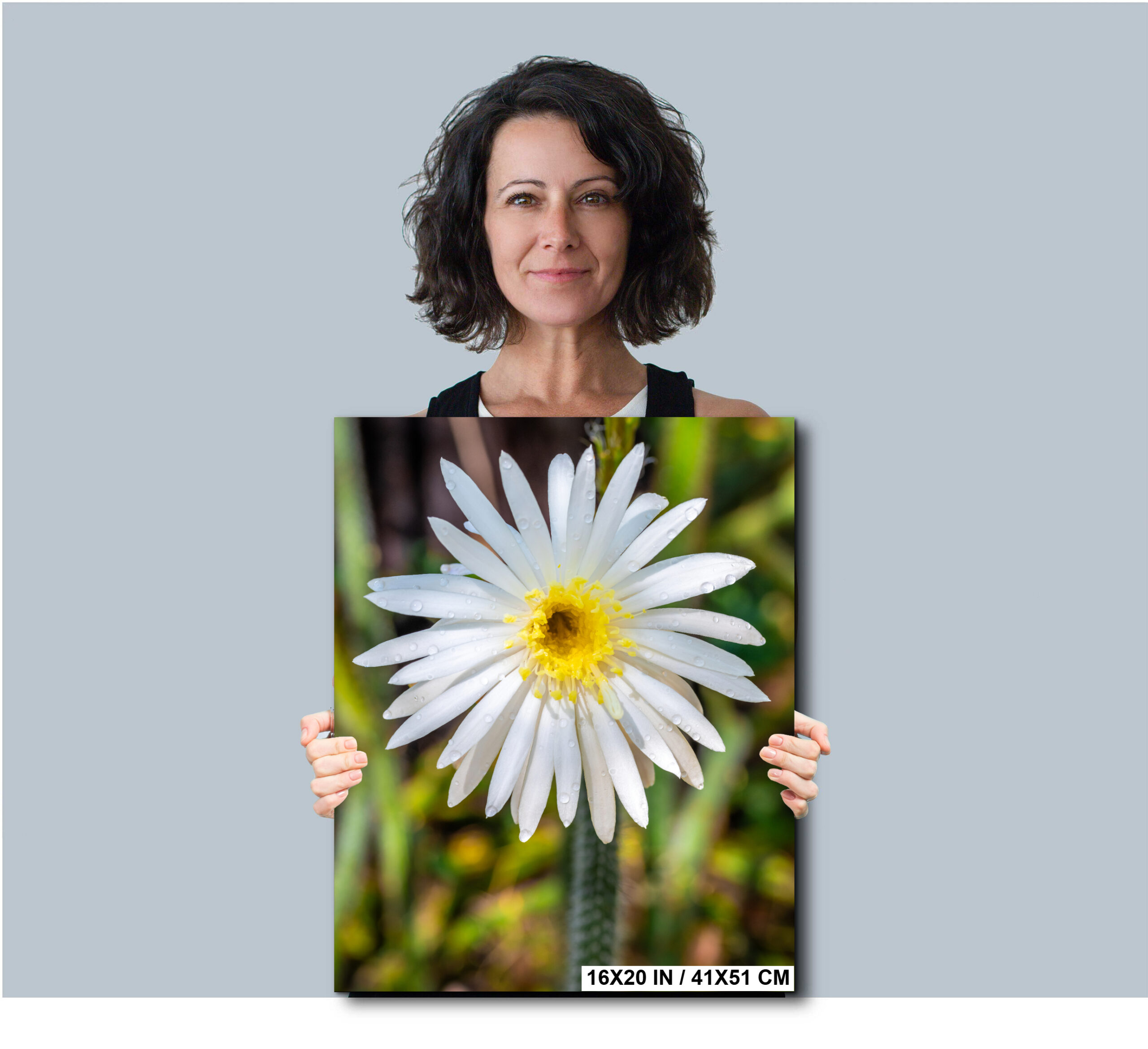 Queen of the Night Desert Flower Photography Print Arizona Diagram Queen of the Night Desert Flower Photography Print Arizona Diagram