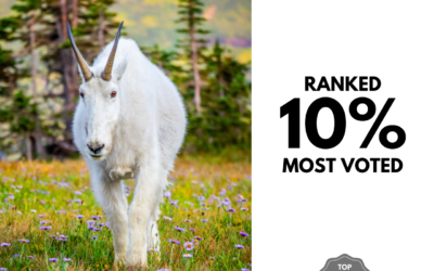 Viewbug.com: Ranked 10% Most Voted in ‘Viewbug Photography Awards’ Photo Contest