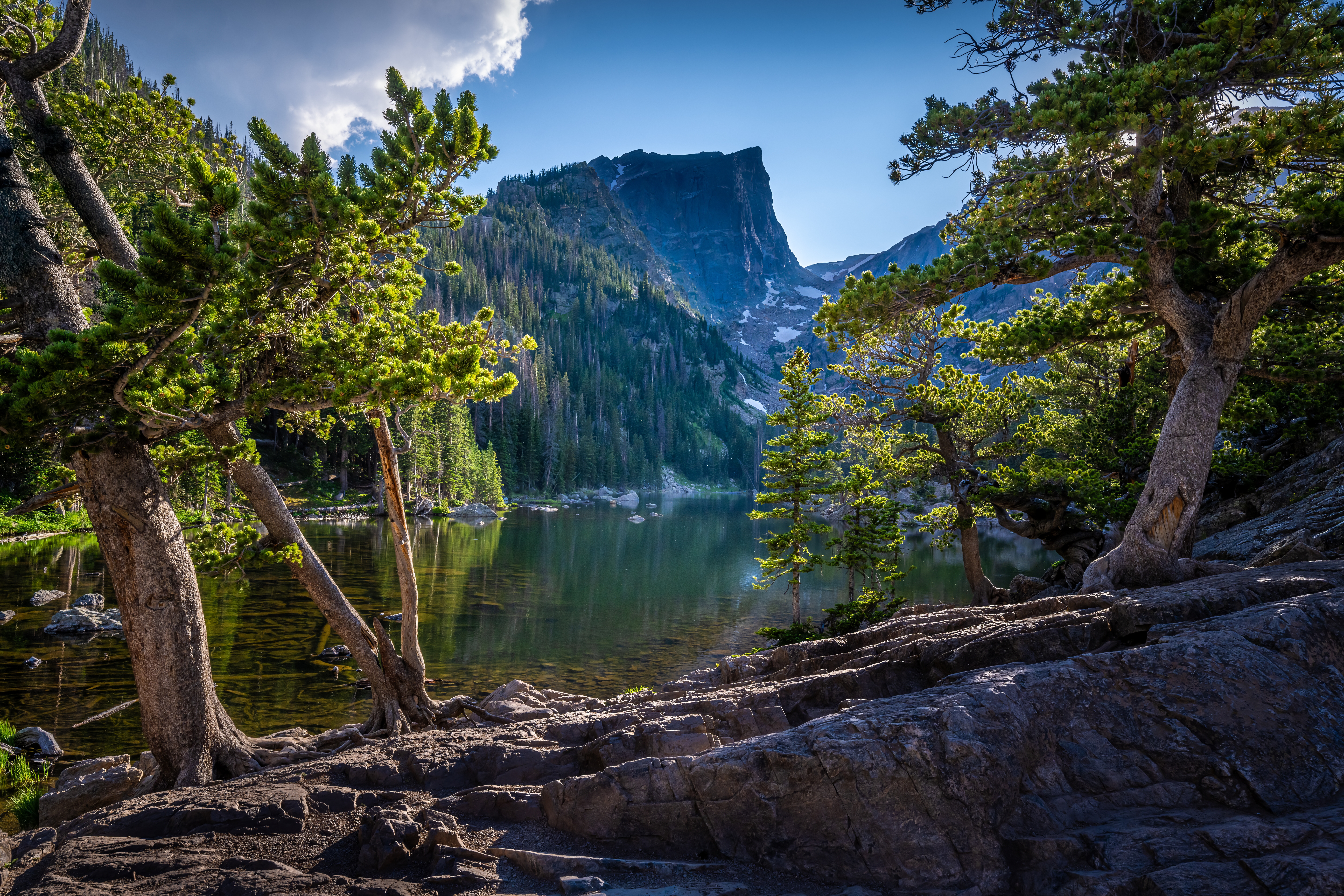 Lake of the Pines: Bear Lake, Rocky Mountain National Park