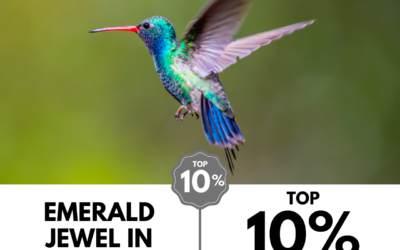 Viewbug.com: Top 10% Most Voted in ‘Little Ones’ Photo Contest