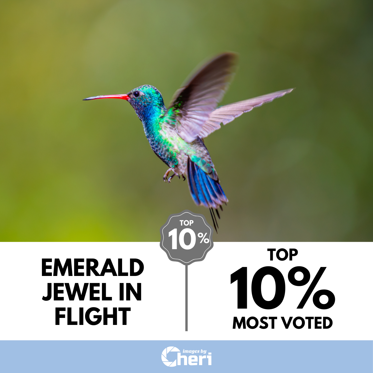 Green hummingbird mid-flight labeled 'Emerald Jewel in Flight.' Text states 'Top 10% Most Voted' award by Images by Cheri photography.