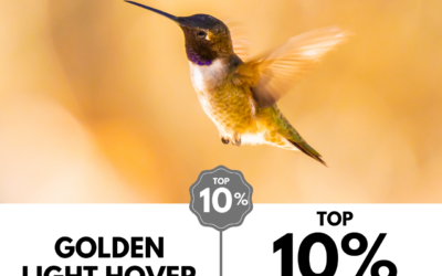 Viewbug.com: Top 10% Most Voted in ‘Little Ones’ Photo Contest