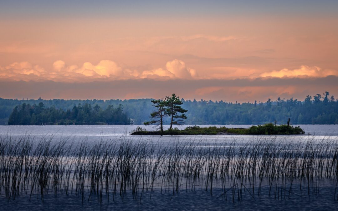 Nature Reflection Voyageurs National Park Serene Landscape