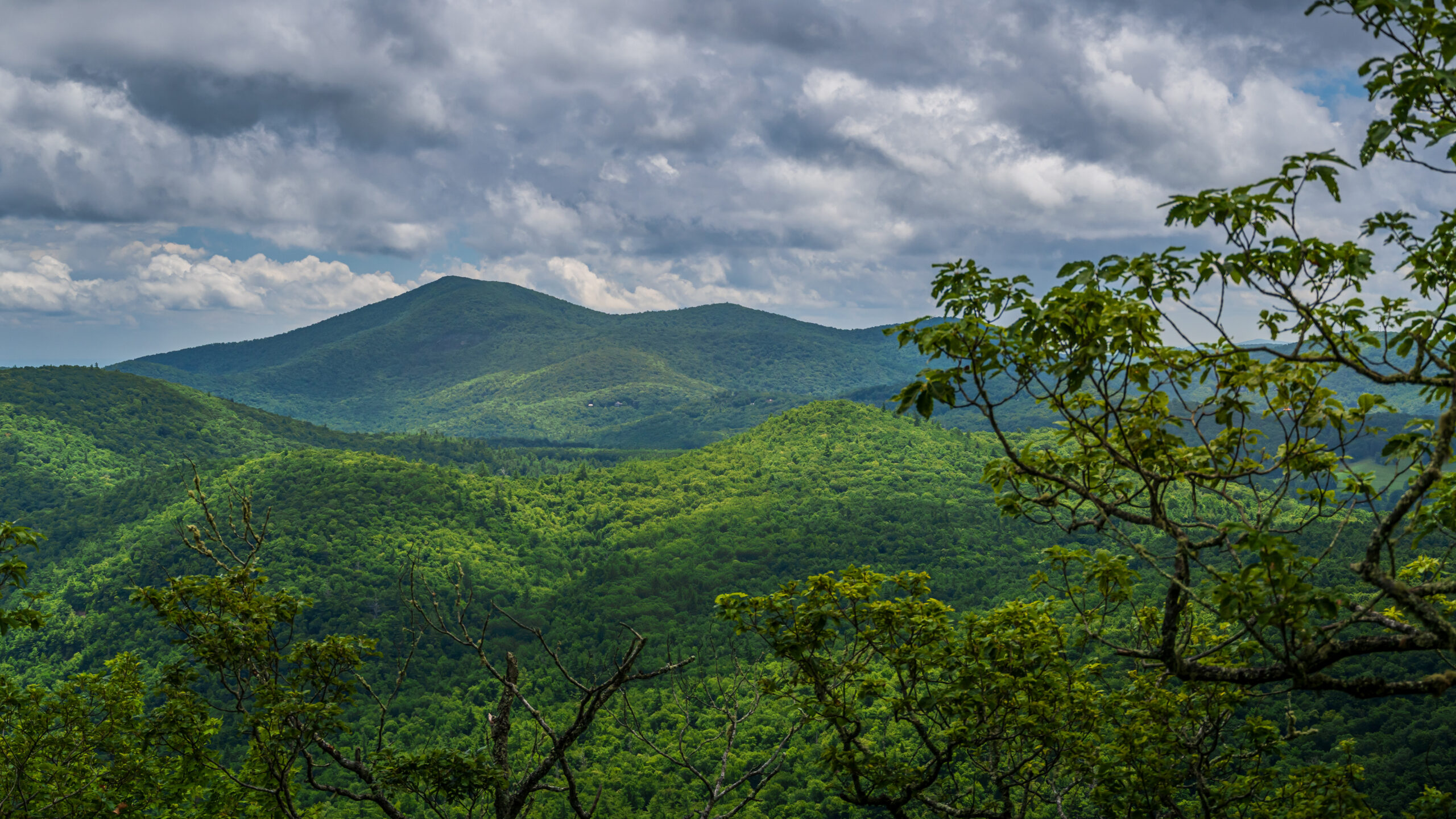 Blue Ridge Hideaway: Print North Carolina’s Lush Green