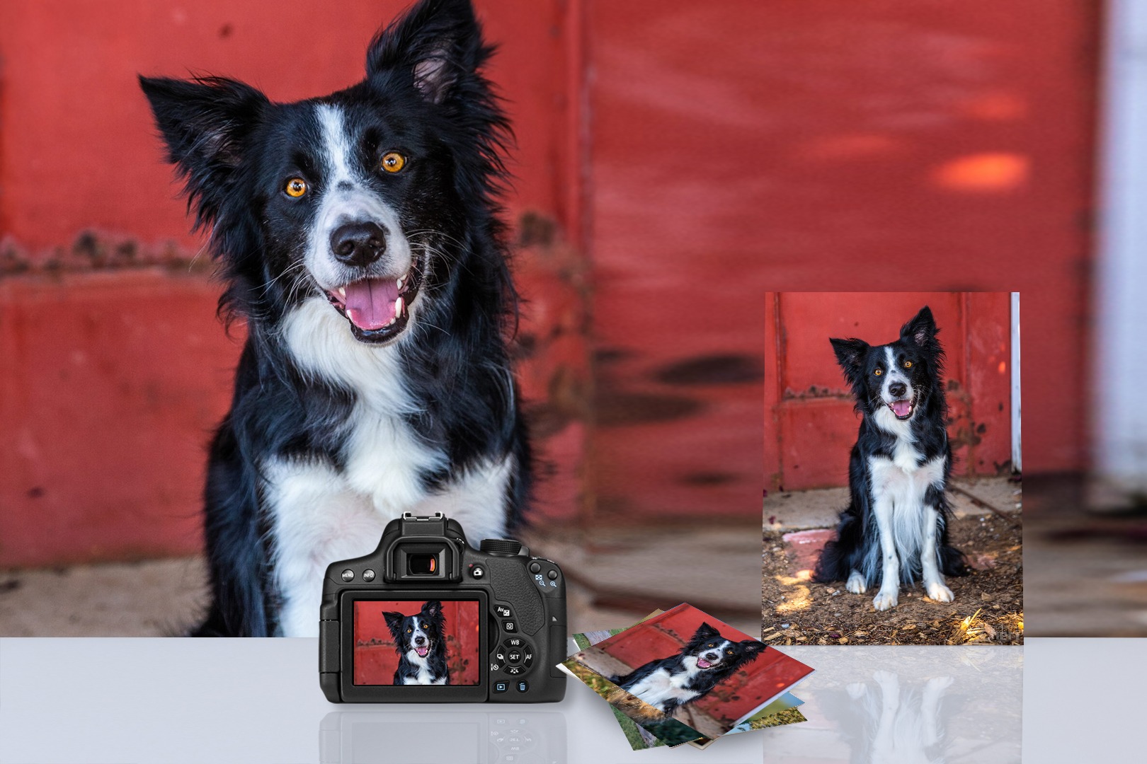 Signature Pose Collection