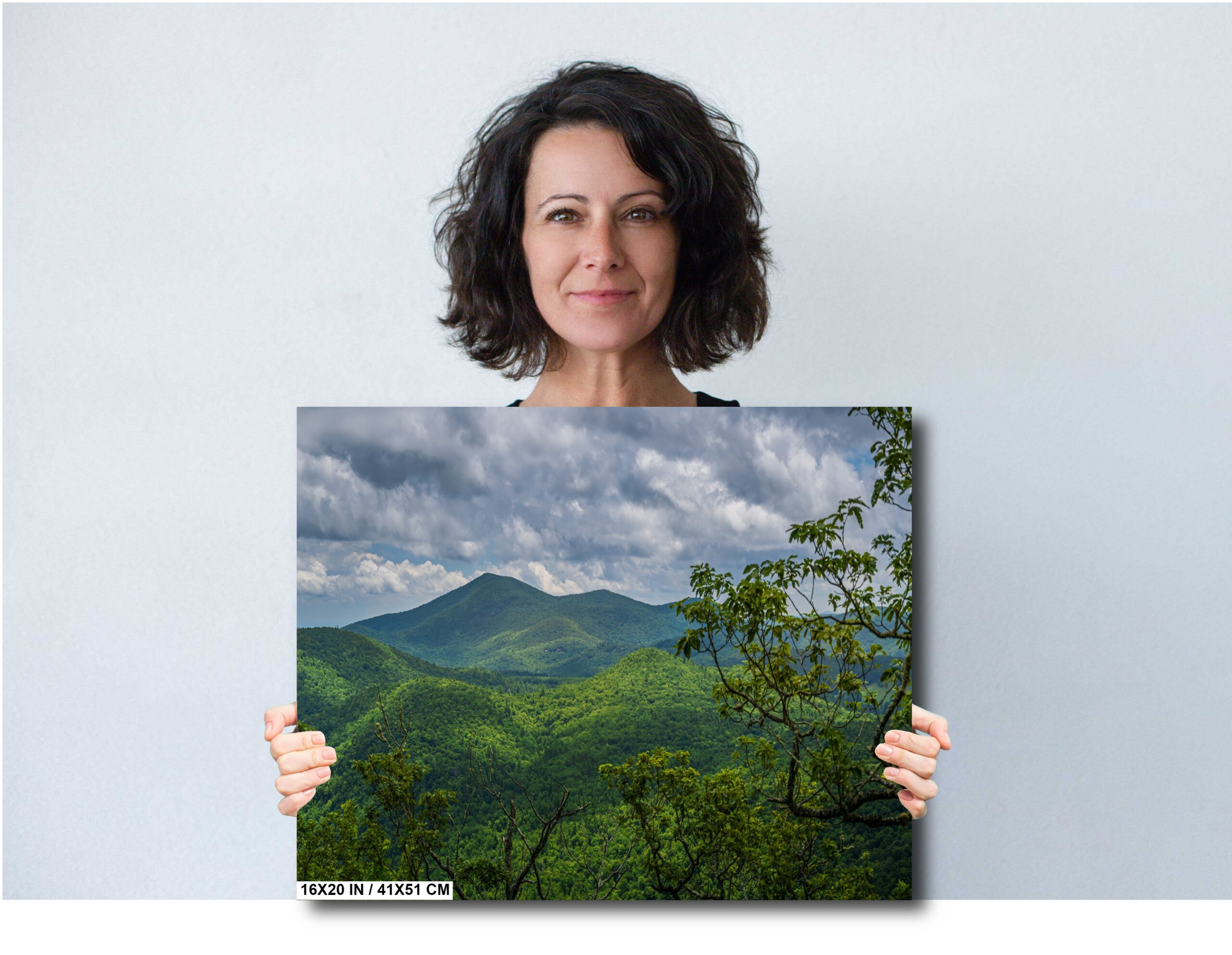 Blue Ridge Hideaway: Print North Carolina’s Lush Green Diagram