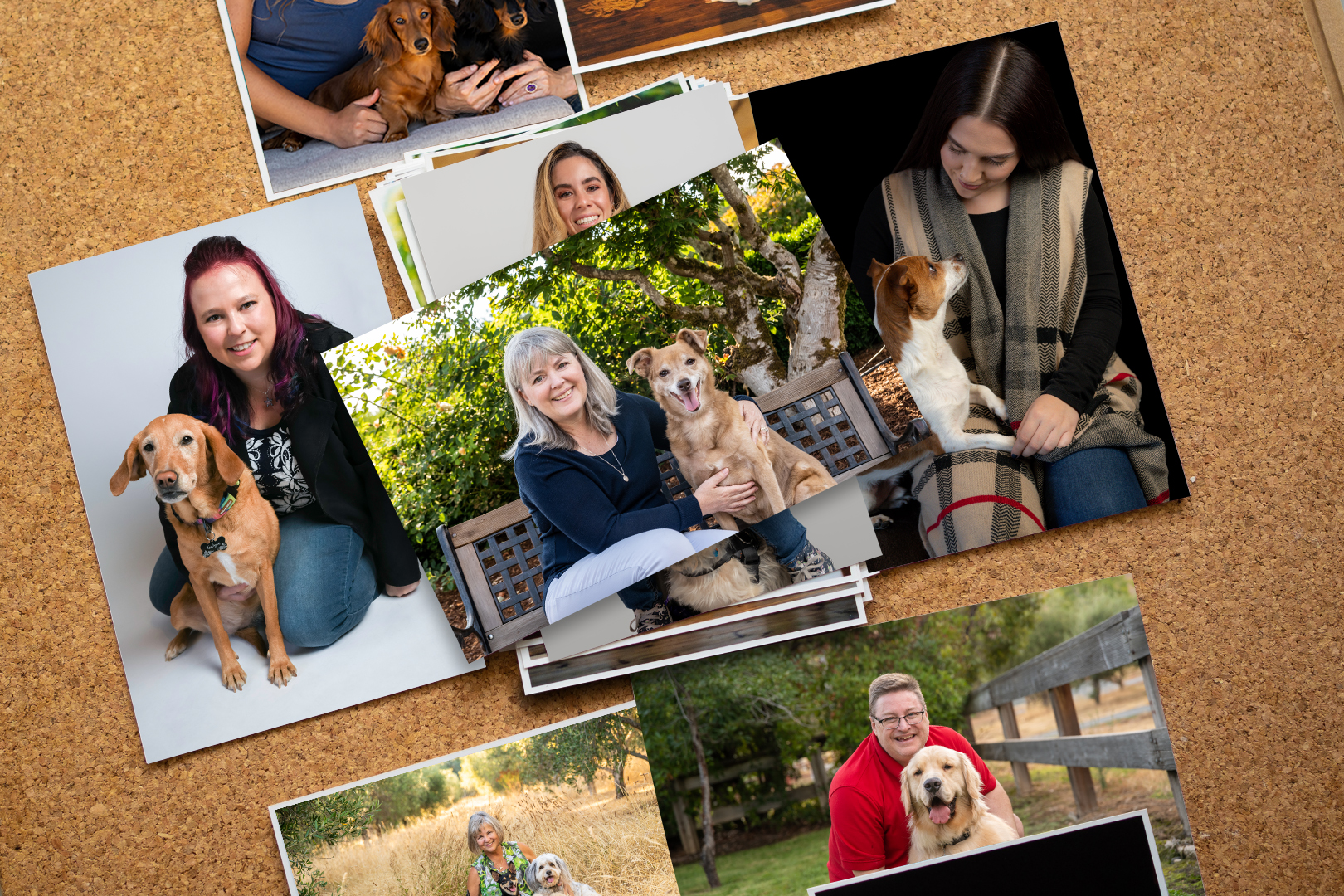 Everyday Pet Moments Set