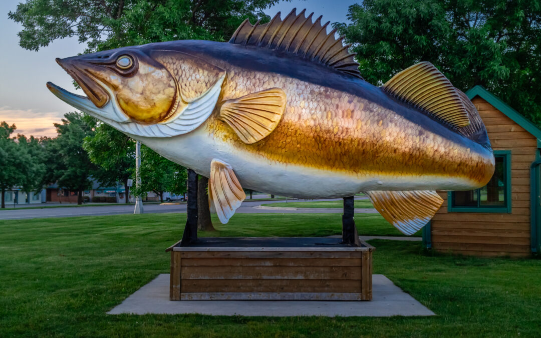 The King Fish: Minnesota Mille Lacs Lake Fish Statue