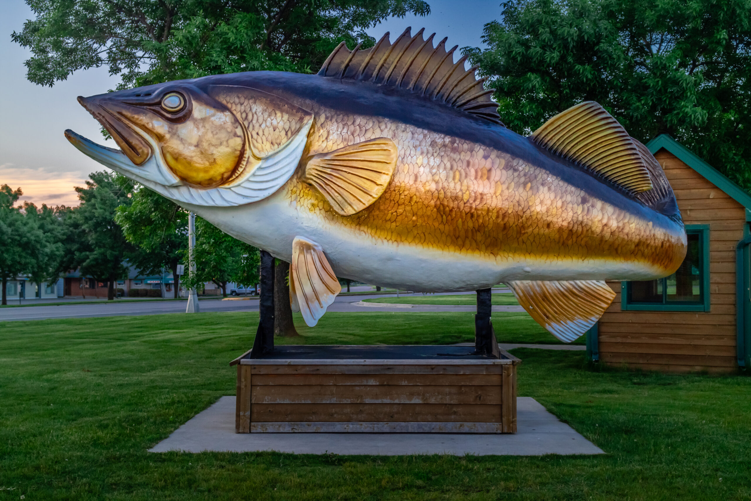 The King Fish: Minnesota Mille Lacs Lake Fish Statue