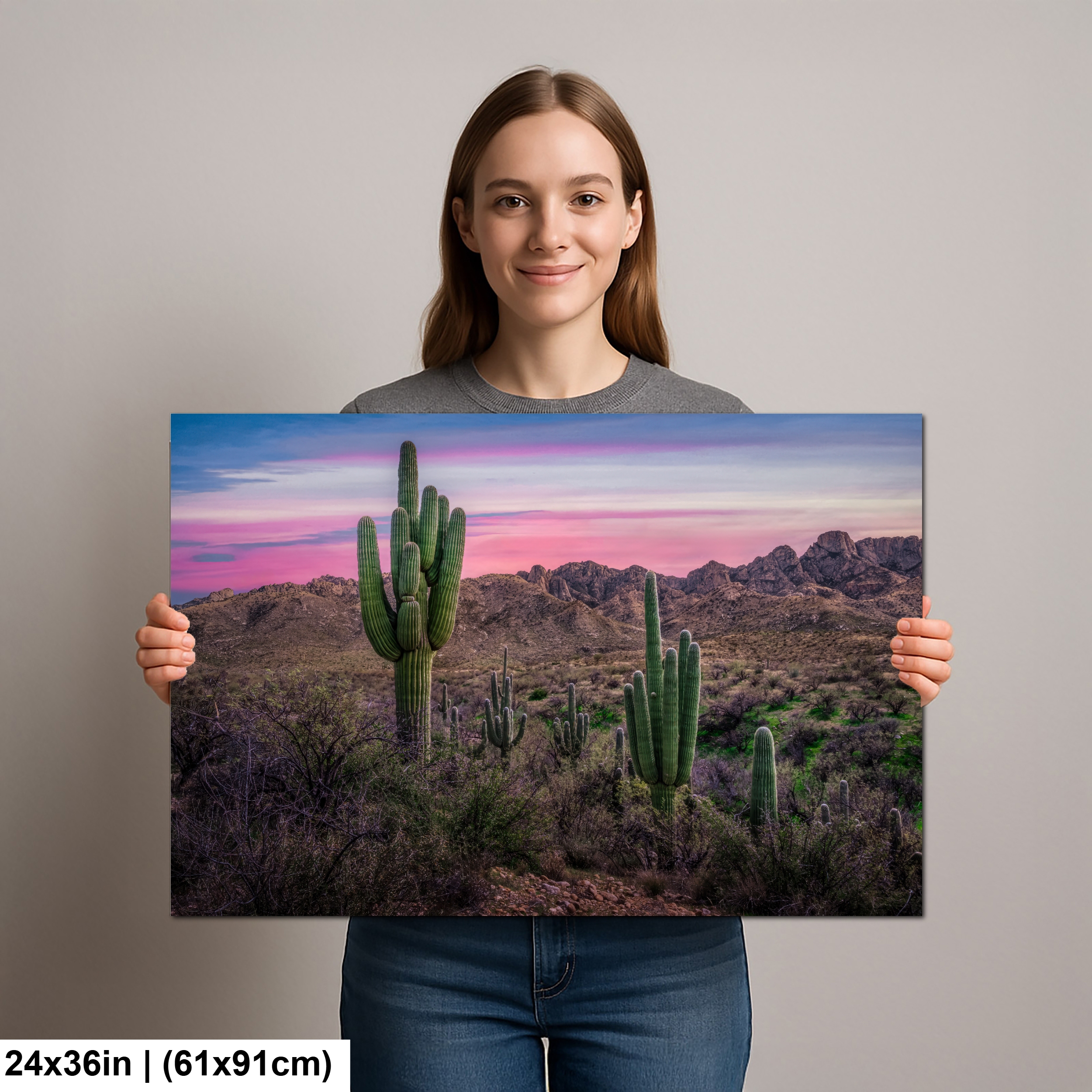 Sonoran Desert Sunset with Saguaros – Catalina State Park Tucson Arizona Diagram Sonoran Desert Sunset with Saguaros – Catalina State Park Tucson Arizona Diagram