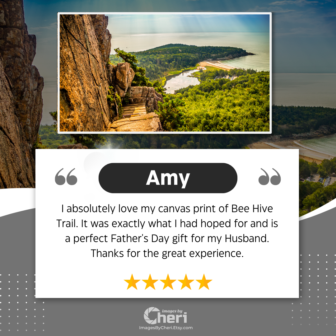 Amy - 5 Star Rating - Customer Review