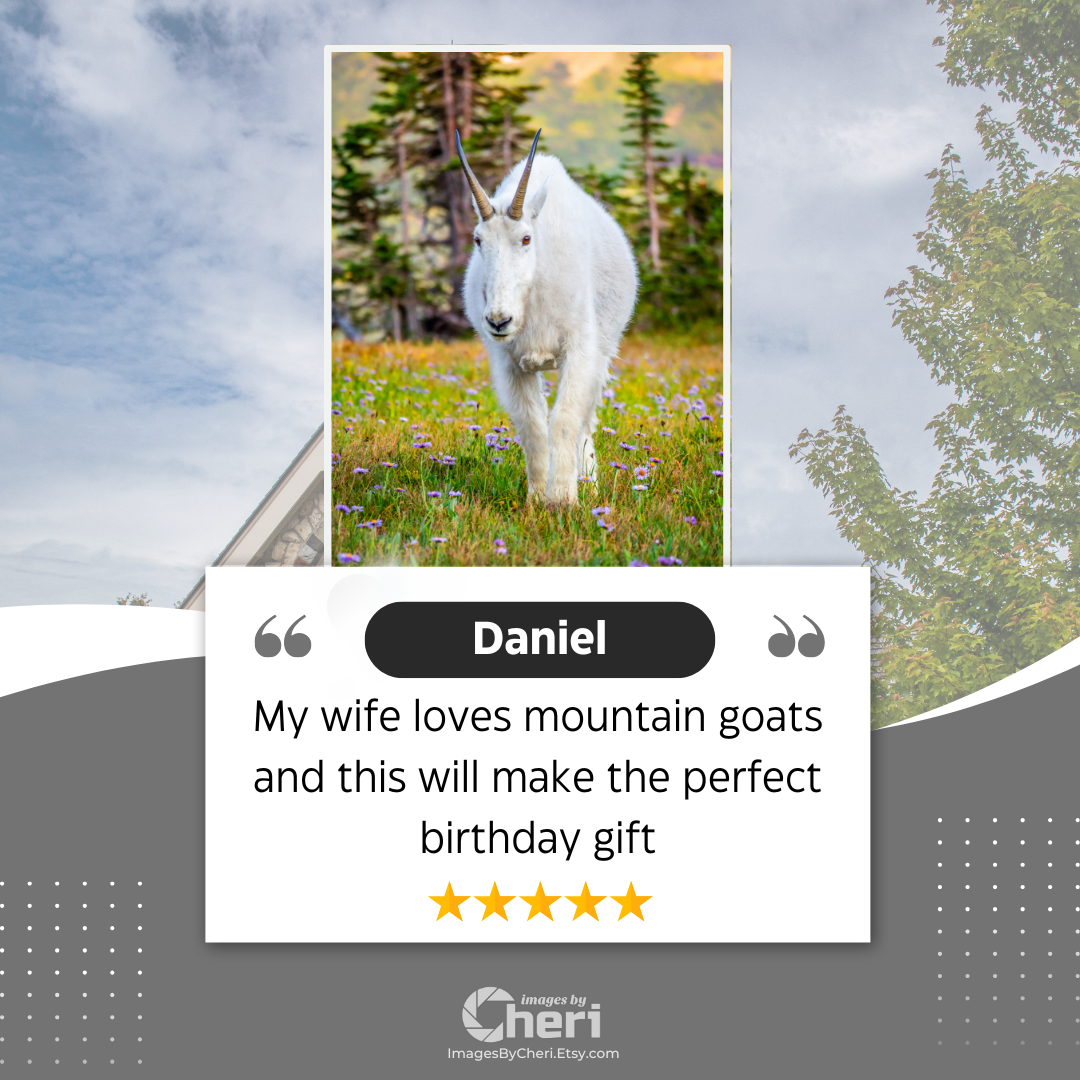 Daniel - 5 Star Rating - Customer Review