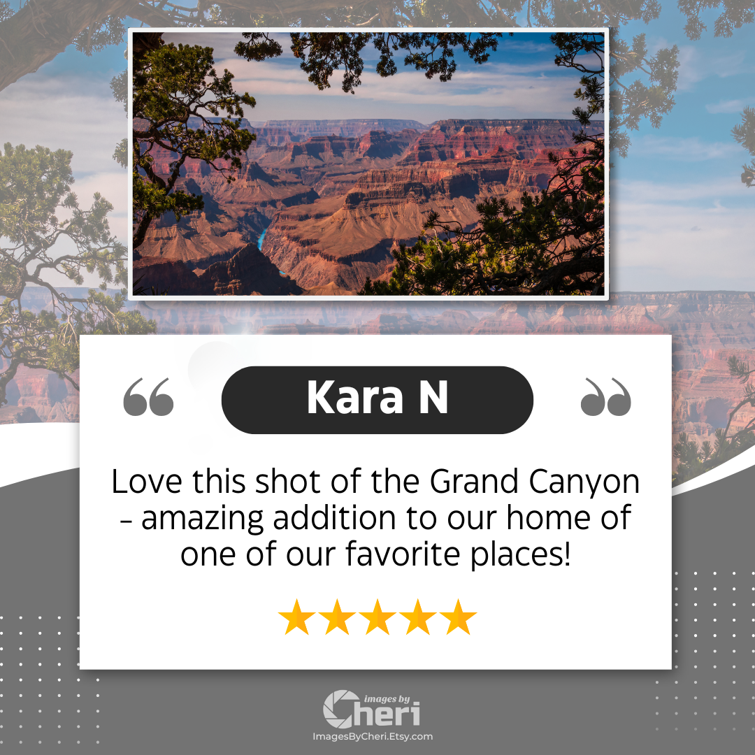 Kara N - 5 Star Rating - Customer Review