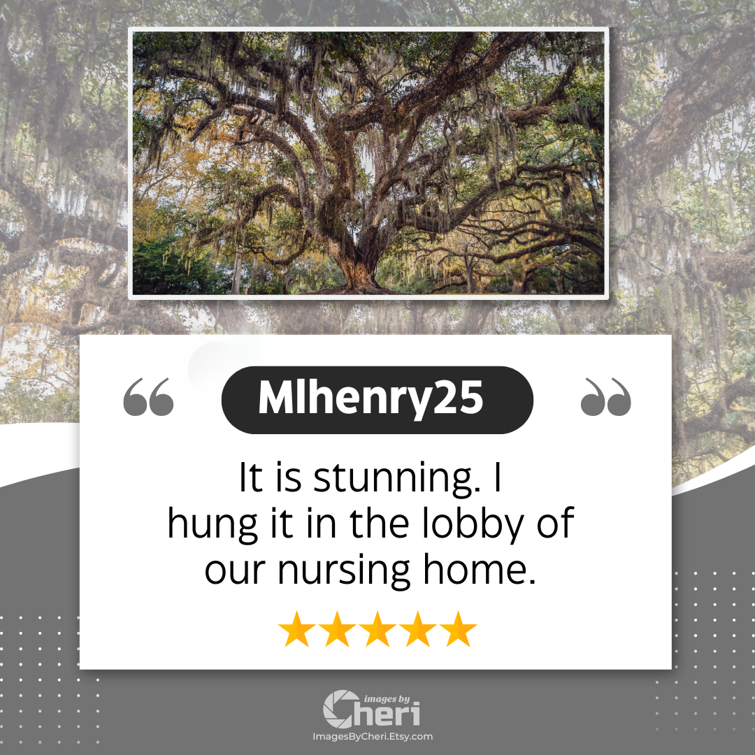 Mihenry25 - 5 Star Rating - Customer Review